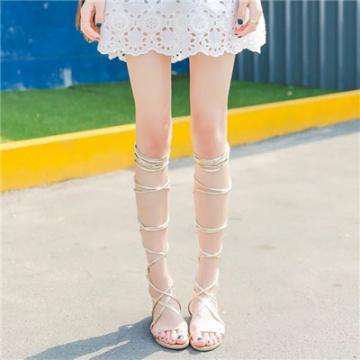 中欧体育app下载入口